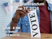 Budget Referendum June 17