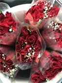 Lions Club roses