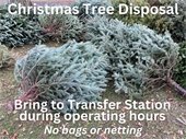 Christmas Tree Disposal