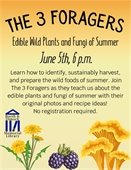 3Foragers Program