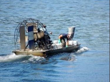 Hydrilla Treatment on Lake Wangumbaug
