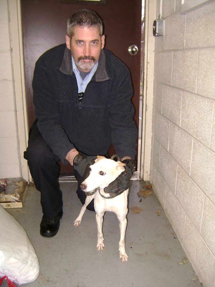 CSO Chipman and a recovered dog at the Vernon Pound