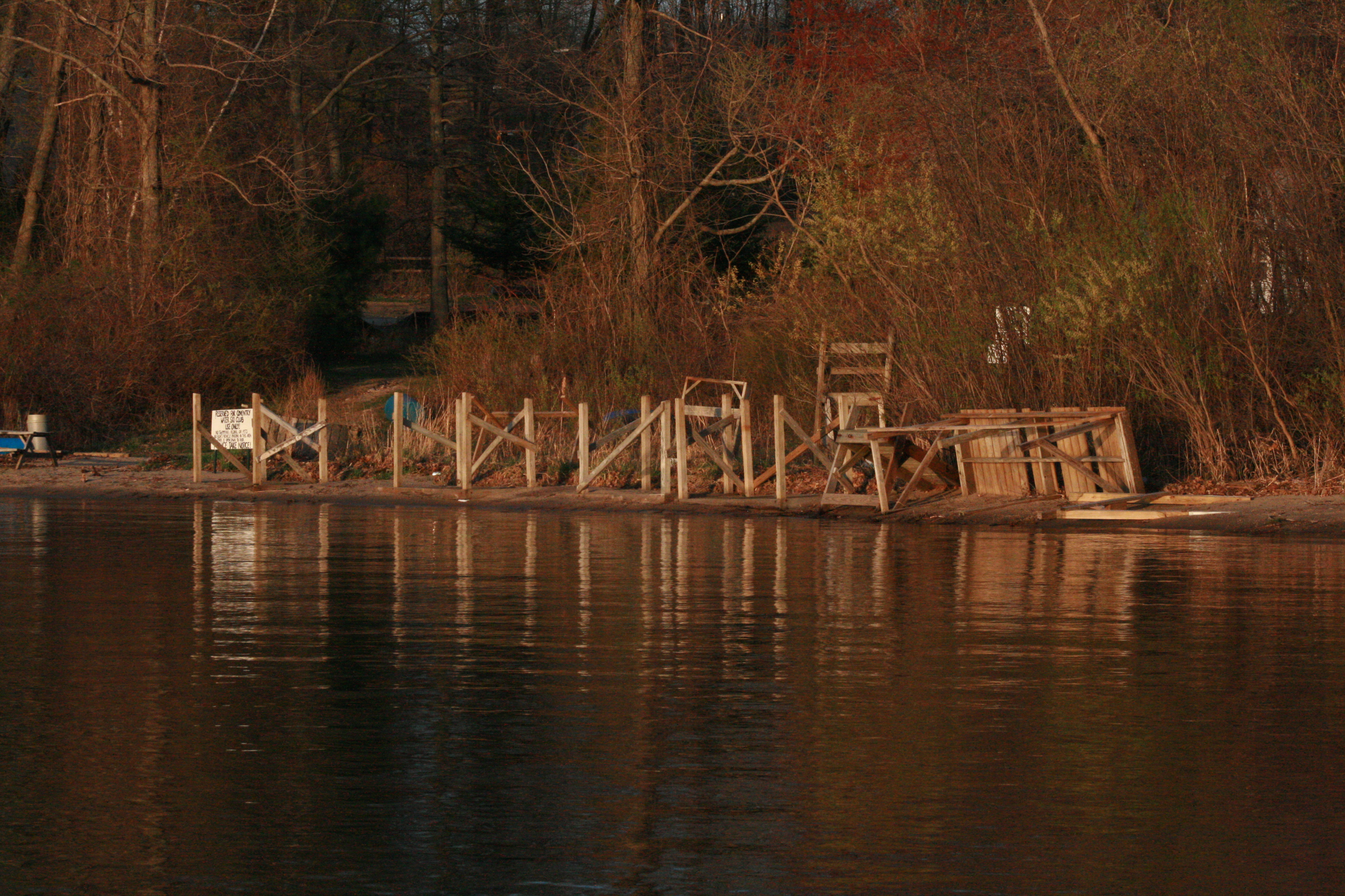 Old wood pieces on the shore