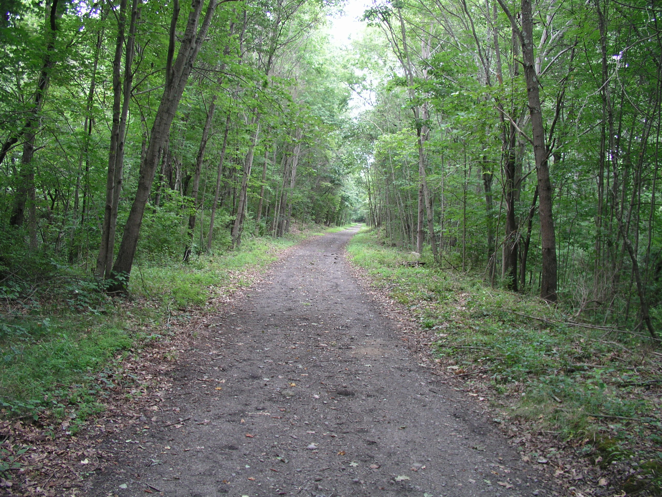 House and out buildings