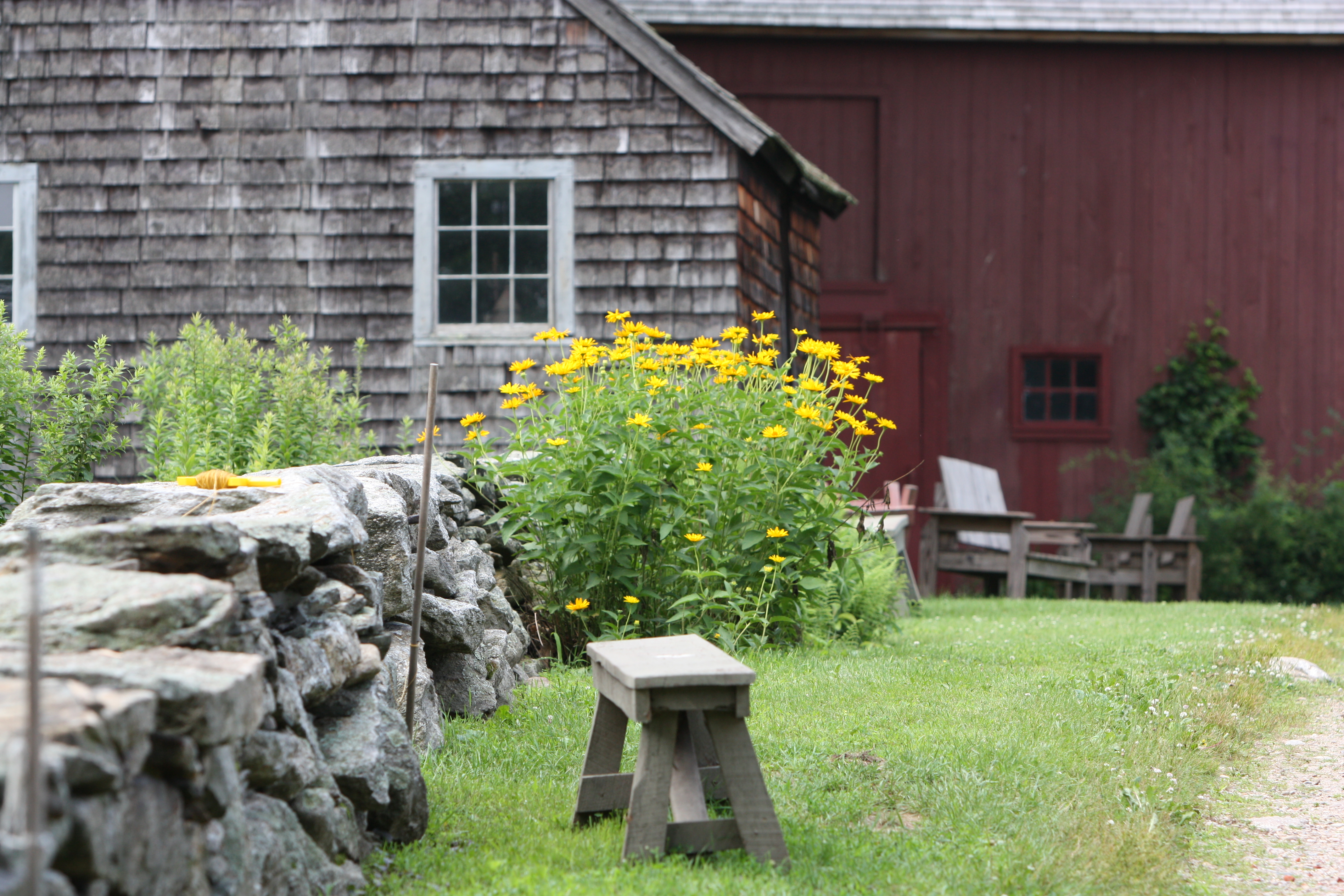 Flowers and wood pile